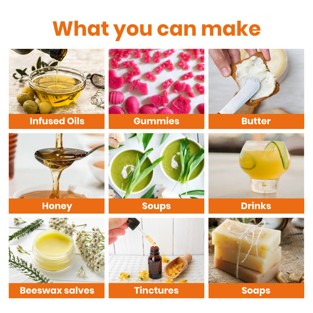 
                  
                    Collage of various products and their uses with text 'What you can make' at the top. magicook pro
                  
                